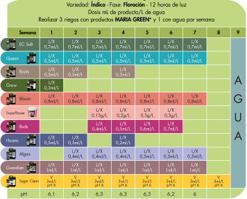 FLORACIÓN Indica