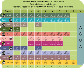 FLORACIÓN Sativa